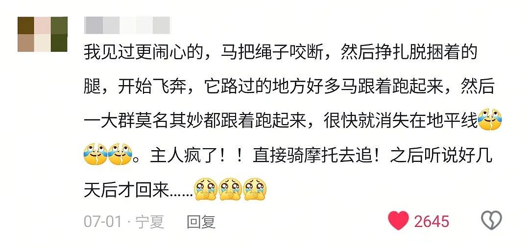 【宠物】游客看到一匹马被绑着2条腿,还以为有人虐马,正想求救…牧民:实际被虐待的,另有其人(组图) - 7
