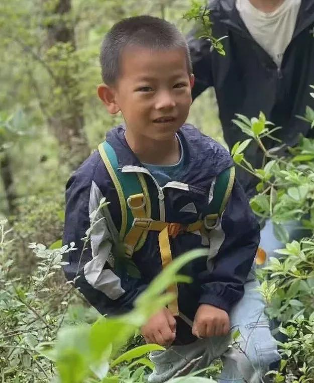 8岁自闭症男童走失超72小时，夏令营机构被调查（组图） - 4