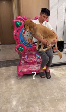 【爆笑】为啥我的屁股会在椅子上留下这种印记？网友：可怕！你的屁股已经被坐“死”了...（组图） - 6
