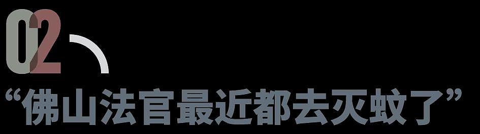 佛山运动式灭蚊,新冠后首次“全民防疫”(组图) - 6