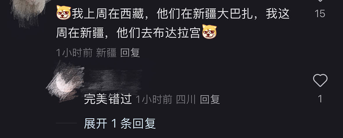 郭晶晶夫妇现身布达拉宫，夫妻俩手牵手超甜，霍启刚西装墨镜好帅（组图） - 5