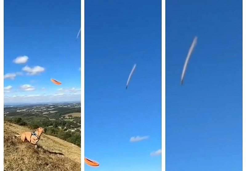 UFO出没？英国男子陪狗狗玩飞盘，意外录下“超高速白影”网上疯传（视频/图） - 1