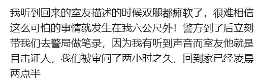澳洲恐怖双尸命案，怀孕女子惨死，男子被斩首！华人邻居发声（组图） - 7