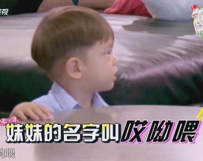 霍思燕代孕风波升级!女儿身高跟儿子差不多,遮掩多年不敢回应(组图) - 12