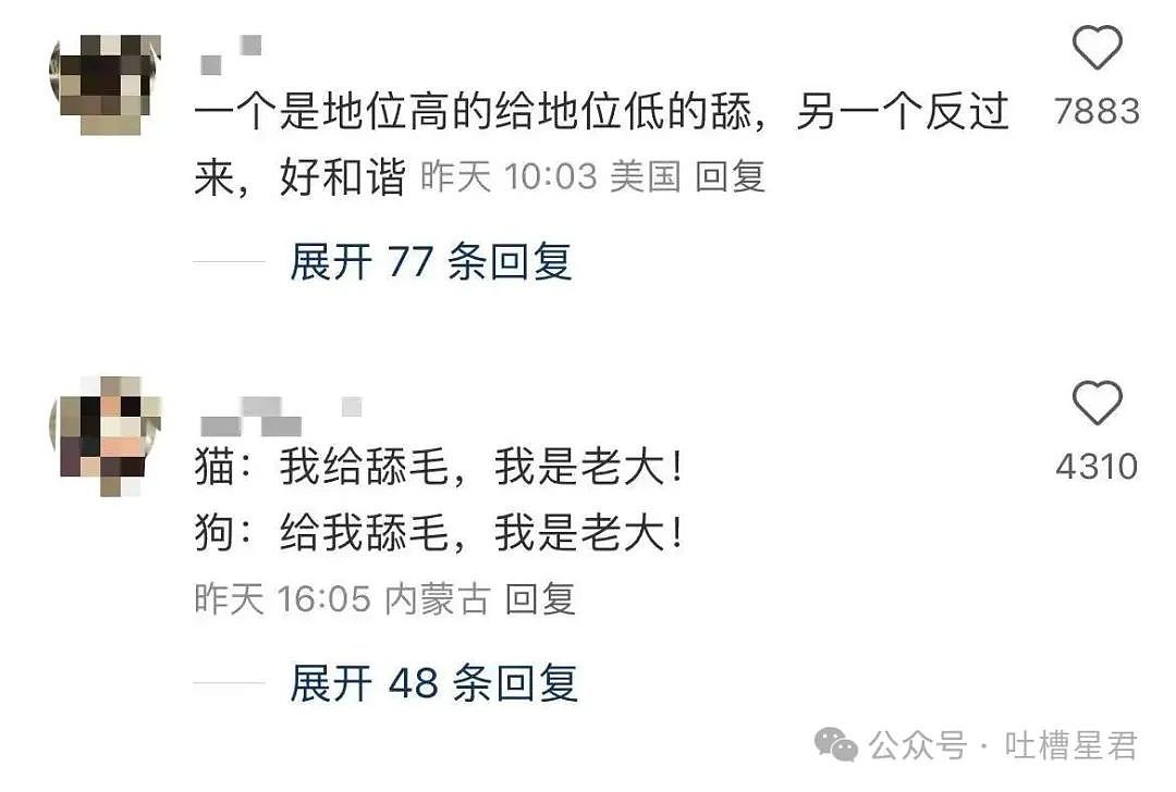 【爆笑】怀孕5个月吃顿火锅老公骂我沙币…？啊啊啊网友的命也是命（组图） - 52