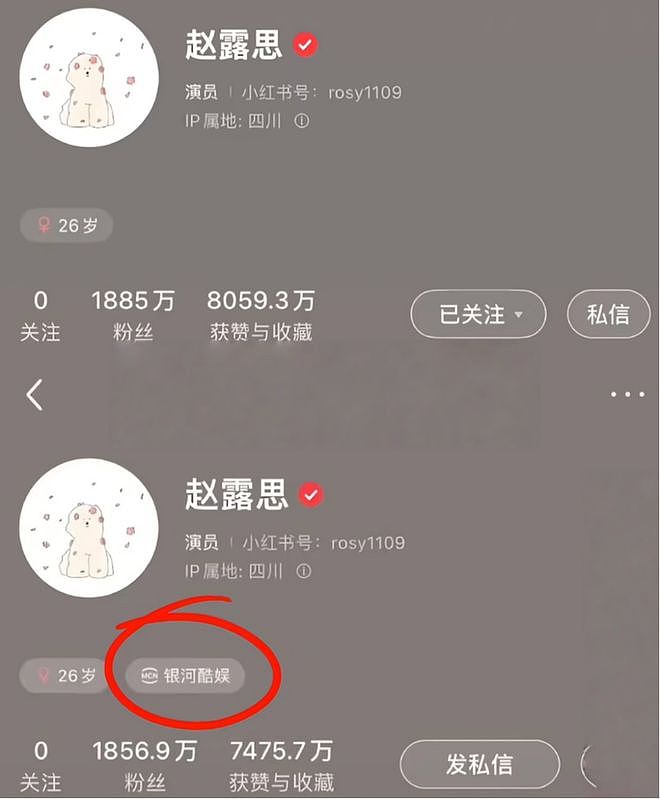 赵露思解约能赢吗？请看“内娱四大赘婿”之首宋威龙如何pk于正（组图） - 11