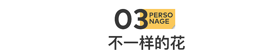 大厂离职后，我在直播间贩卖美丽（组图） - 10