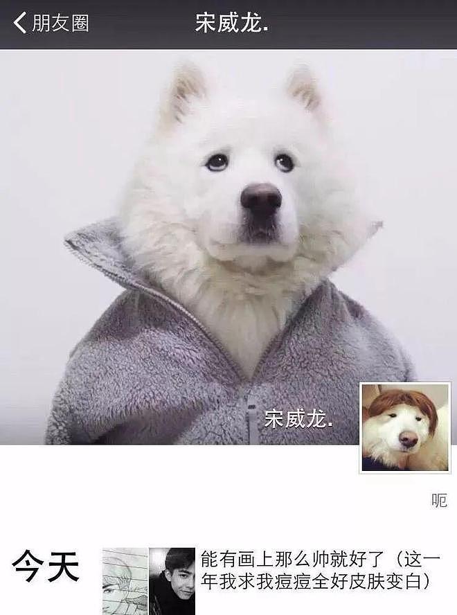 赵露思解约能赢吗？请看“内娱四大赘婿”之首宋威龙如何pk于正（组图） - 108