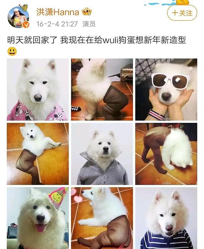 赵露思解约能赢吗？请看“内娱四大赘婿”之首宋威龙如何pk于正（组图） - 109