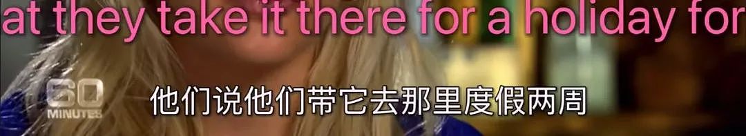 中国美女自掏40 万下嫁阿拉伯男，结婚5个月被打4次、连扇20个耳光（组图） - 14