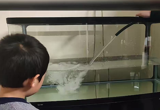 “我被新西兰人举报虐待动物!”华人发帖求助,第二天有人直接上门(组图) - 6