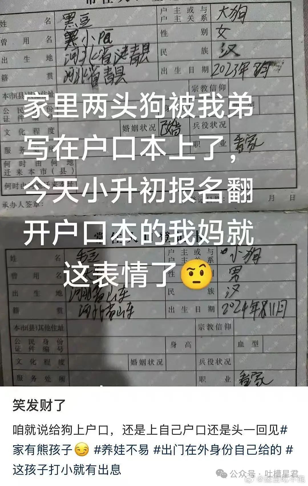 【爆笑】怀孕5个月吃顿火锅老公骂我沙币…？啊啊啊网友的命也是命（组图） - 17