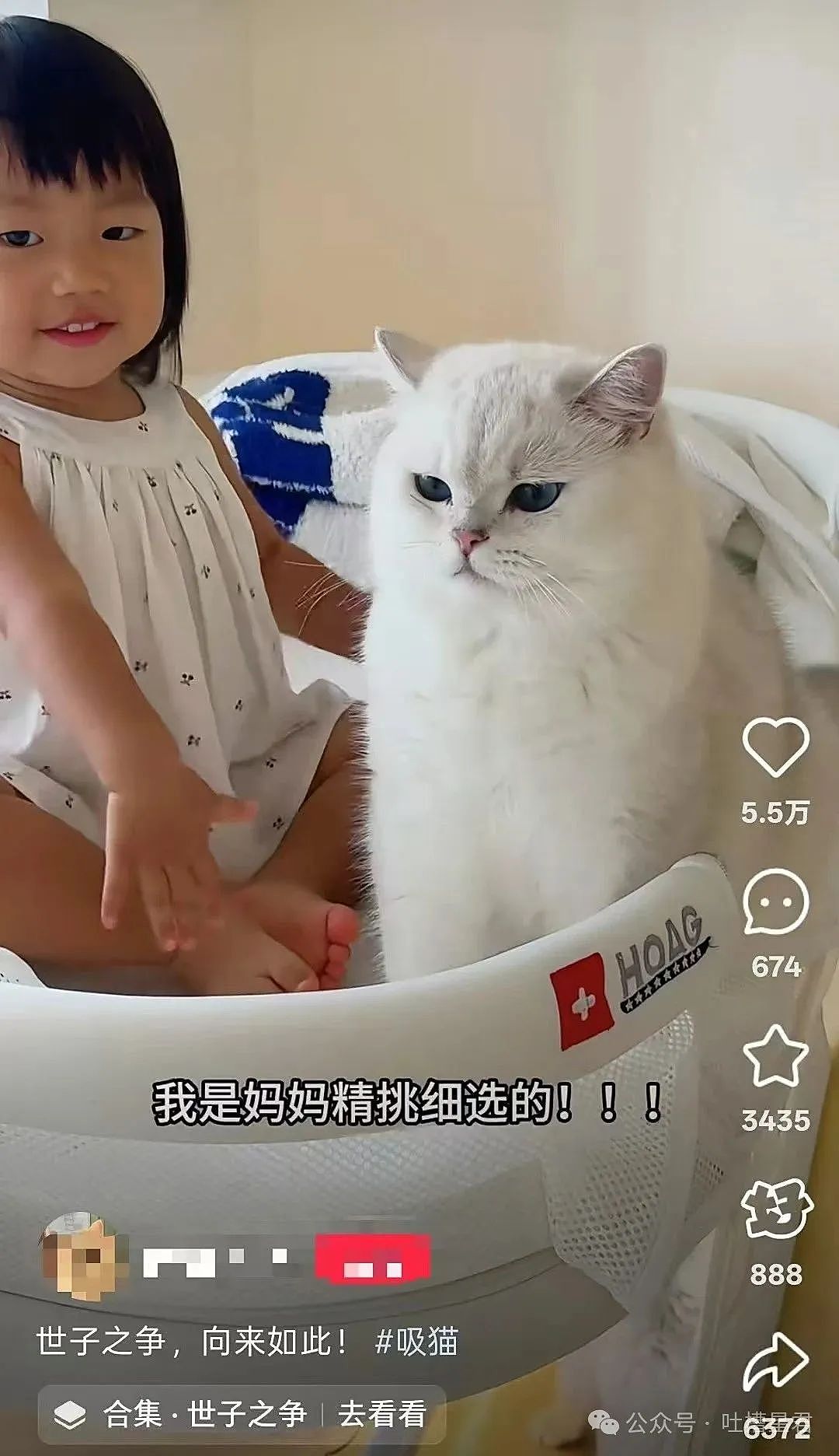 【爆笑】怀孕5个月吃顿火锅老公骂我沙币…？啊啊啊网友的命也是命（组图） - 43