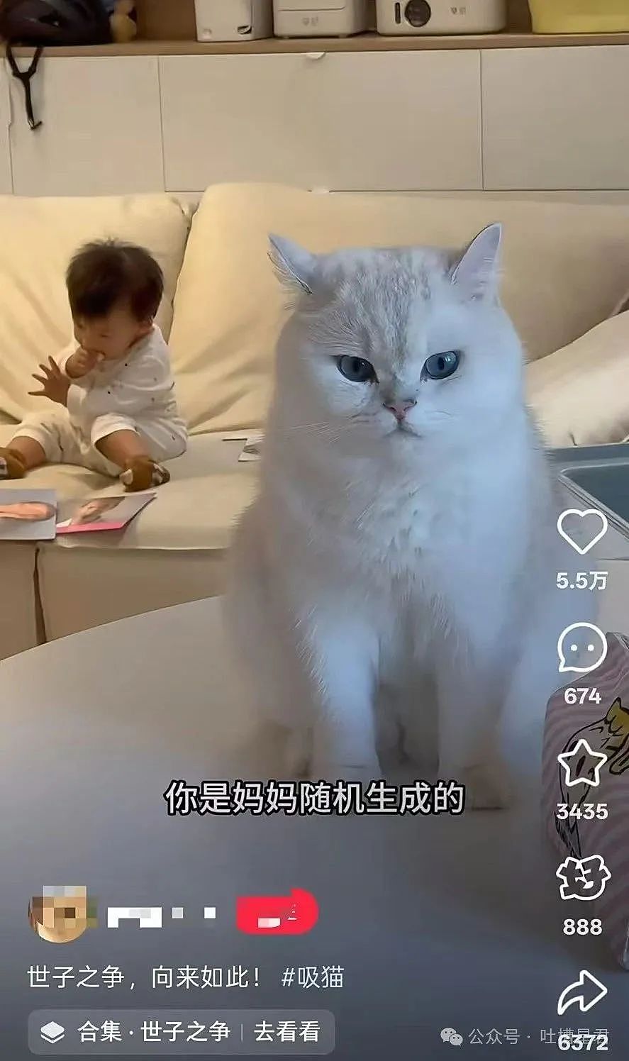 【爆笑】怀孕5个月吃顿火锅老公骂我沙币…？啊啊啊网友的命也是命（组图） - 42