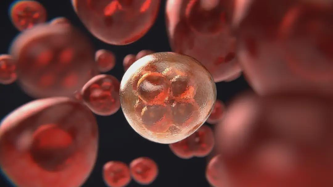 100年前，科学家曾猜测今天的人类能活到1000岁（组图） - 3
