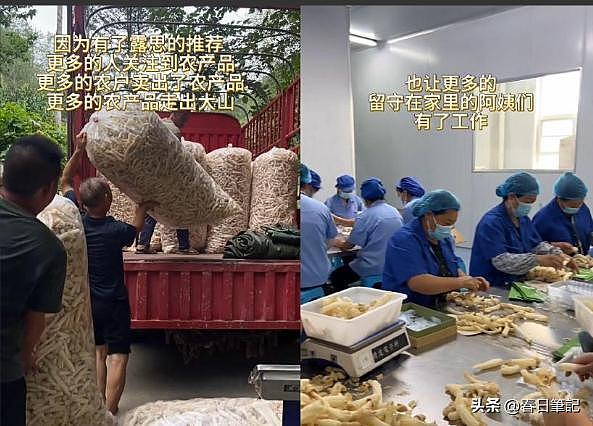 赵露思“反向印钞术”：罢工让公司颗粒无收，喂饱大批国内土特产（组图） - 15