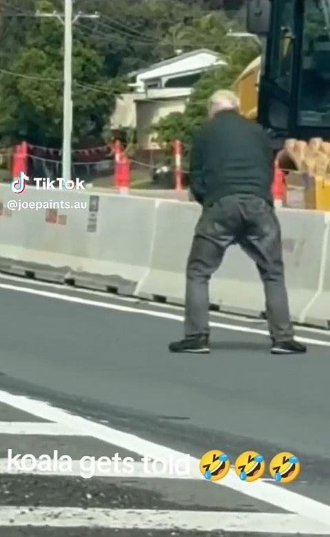 树熊误闯马路！澳洲老翁英勇救回“下秒严肃训话”爆红，内容曝光（组图） - 3