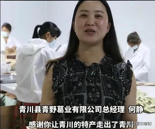 赵露思“反向印钞术”：罢工让公司颗粒无收，喂饱大批国内土特产（组图） - 12