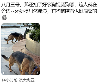 澳洲恐怖双尸命案，怀孕女子惨死，男子被斩首！华人邻居发声（组图） - 10