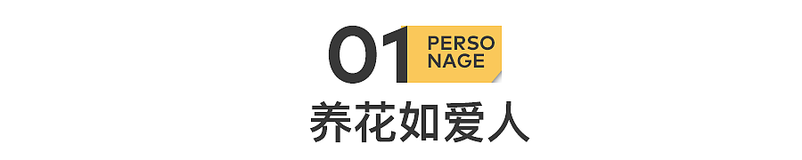 大厂离职后，我在直播间贩卖美丽（组图） - 3