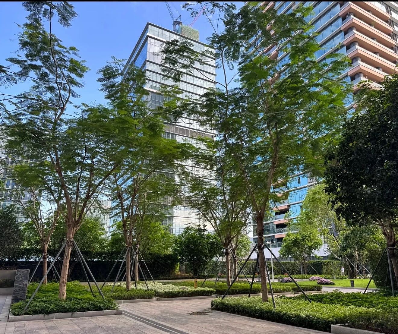 比白领香？留学生深圳豪宅当保安：空调房站2小时挣八千（组图） - 2