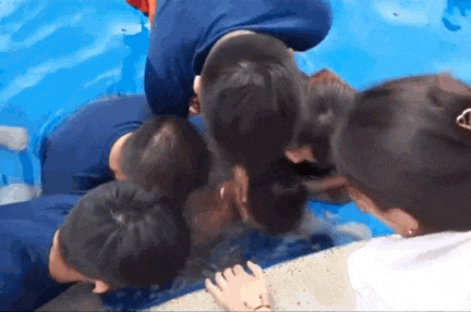 6岁女孩酒店水池殒命！左腿被水管卡住，4个大人救不出，妈妈眼睁睁看娃溺水却无能为力，网友愤怒（组图） - 13