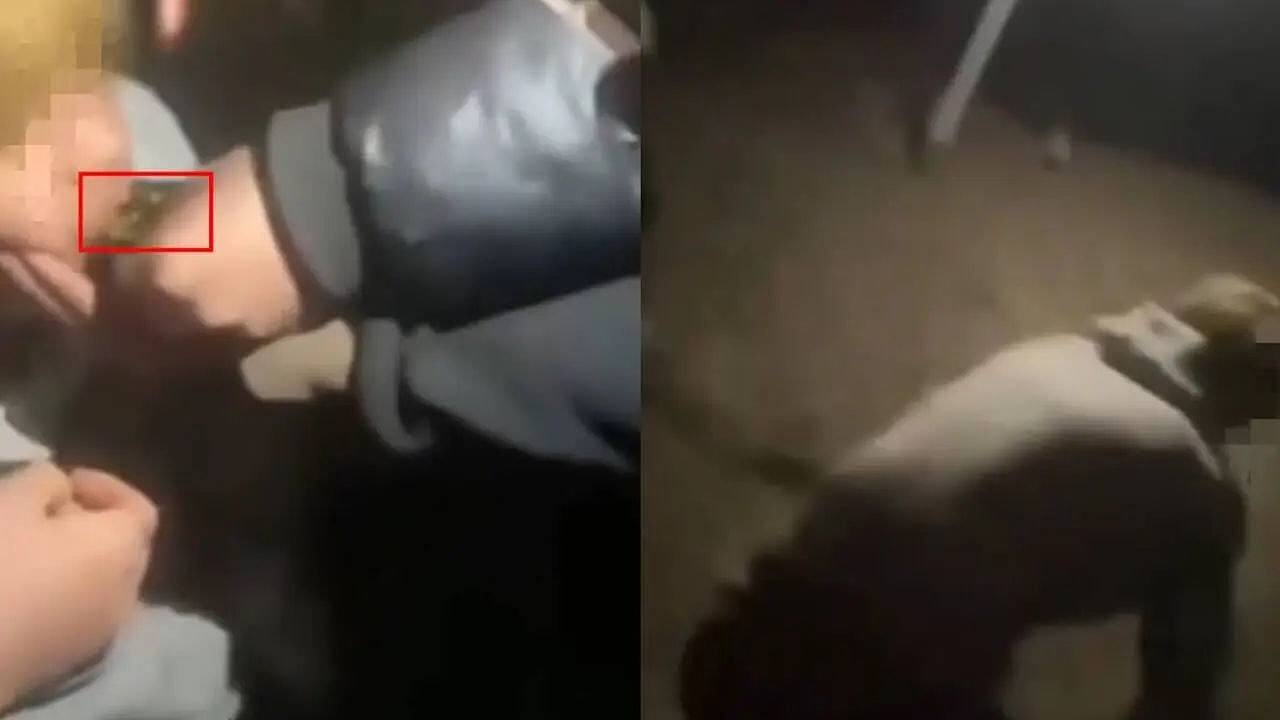 甘肃16岁少年遭殴打被逼爬行学狗叫,警立案调查:青年间矛盾引起(组图) - 1