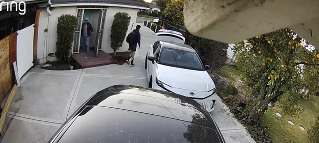 恐怖“谋杀案”!华裔夫妇争家产,华男打到妻子变形再焚尸!百万豪宅烧成凶宅(组图) - 5