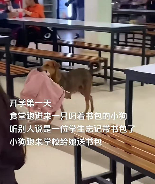 【爆笑】无意间发现男朋友和别的女生说我不好看?网友无语:渣男配绿茶绝配?(组图) - 44