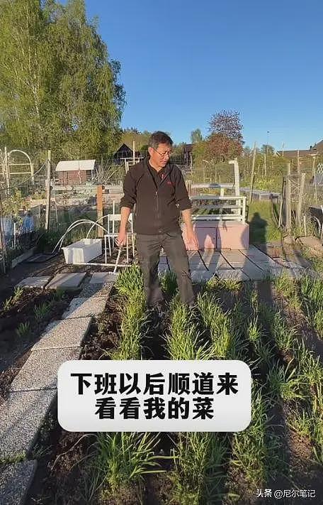 河南夫妻瑞典超市打工：一天干6.5小时，月入3.6万，9年国外买房（组图） - 9