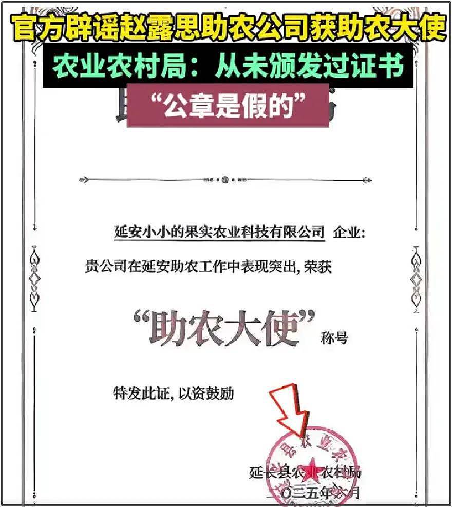 业内警告赵露思！提醒她不要碰助农：别骑在基层人员头上抢功劳（组图） - 12