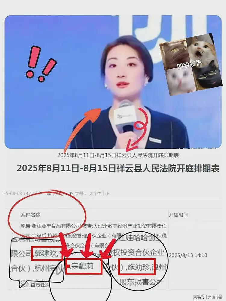 宗馥莉“后院起火”!杭州、宁波、温州等地十几家公司已提起诉讼(组图) - 3