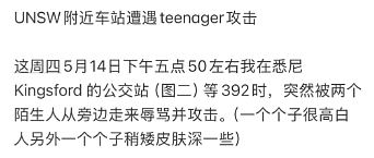 昏迷30小时后，他醒了... 但专挑华人下手的澳洲青少年暴力“免死金牌”，何时能被打破？（组图） - 13