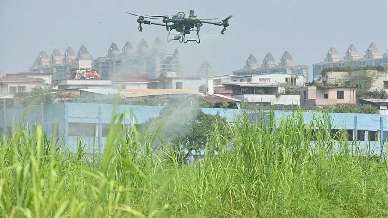基孔肯雅热：“蚊子没死蜻蜓先死”，广州蚊子100%抗药性或引风险（组图） - 1