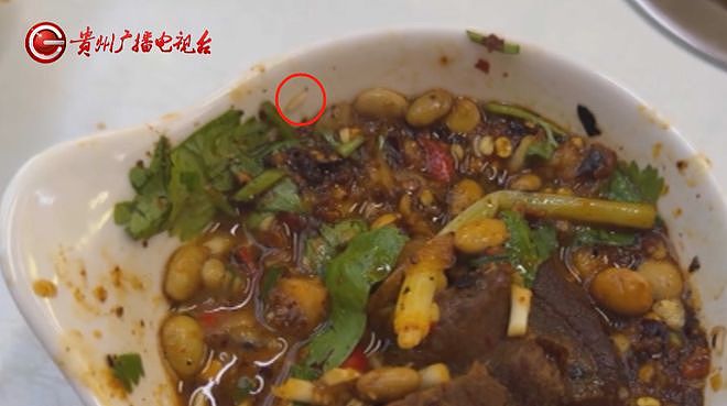 女子吃火锅见碗里活蛆蠕动当场呕吐，商家：这是蛋白质（组图） - 2