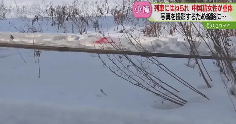 55岁中国女游客在日本被列车撞击身亡！10趟列车停运，事发时正在拍照（组图） - 4