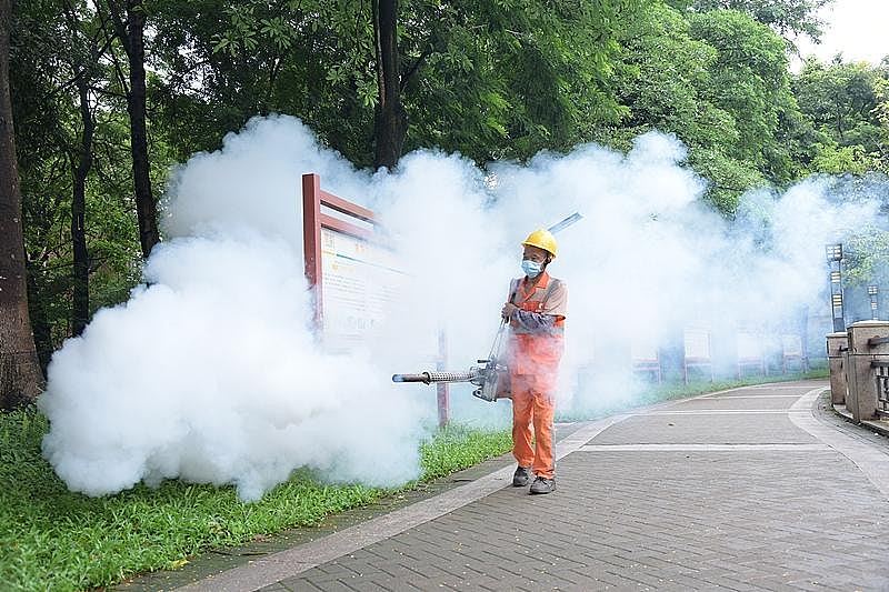 基孔肯雅热：“蚊子没死蜻蜓先死”，广州蚊子100%抗药性或引风险（组图） - 2