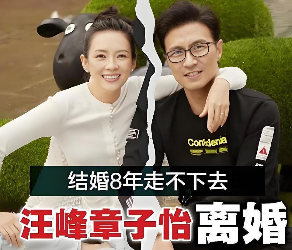 董璇比佟丽娅显老:贵圈双生花,缘何境况大不同?选择大于努力(组图) - 40