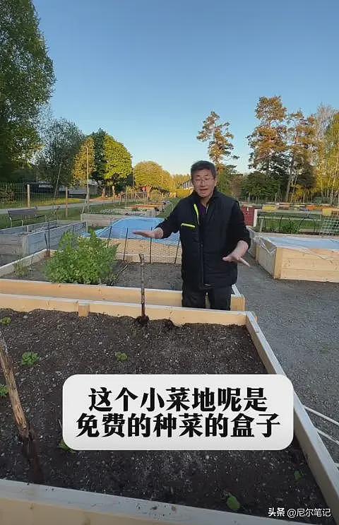 河南夫妻瑞典超市打工：一天干6.5小时，月入3.6万，9年国外买房（组图） - 8