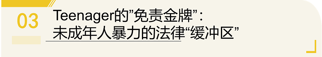 昏迷30小时后，他醒了... 但专挑华人下手的澳洲青少年暴力“免死金牌”，何时能被打破？（组图） - 21