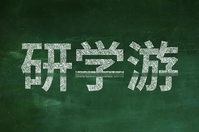大理苍山失踪8岁男童不幸遇难，暗访研学乱象：有私人机构挂靠旅行社，销售人员暗示可隐瞒孩子病史报名（组图） - 1