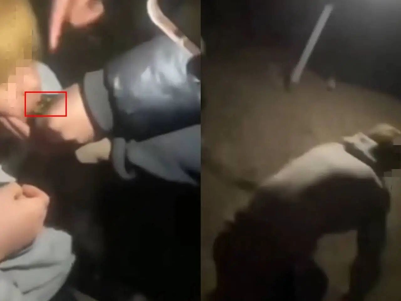 甘肃16岁少年遭殴打被逼爬行学狗叫,警立案调查:青年间矛盾引起(组图) - 3