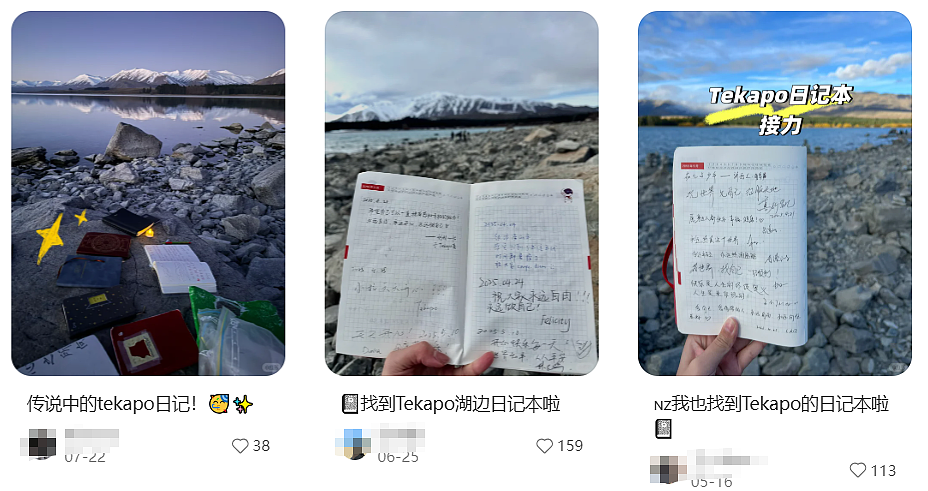 6岁中国女孩在新西兰一个疏忽，意外引发全网关注！女孩妈妈深圳回应（组图） - 16