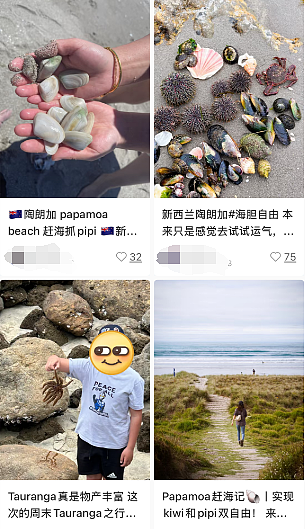 赶海圣地出现大批“毒海鲜”！华人：“几口下肚秒变喷射战士”，毛利大姐直接瘫痪.....（组图） - 2
