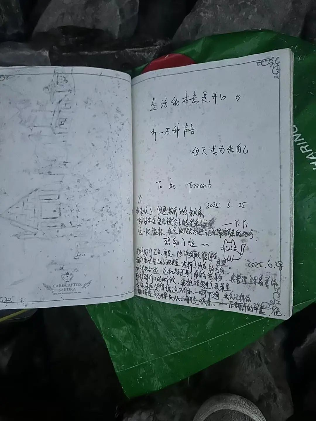 6岁中国女孩在新西兰一个疏忽，意外引发全网关注！女孩妈妈深圳回应（组图） - 15