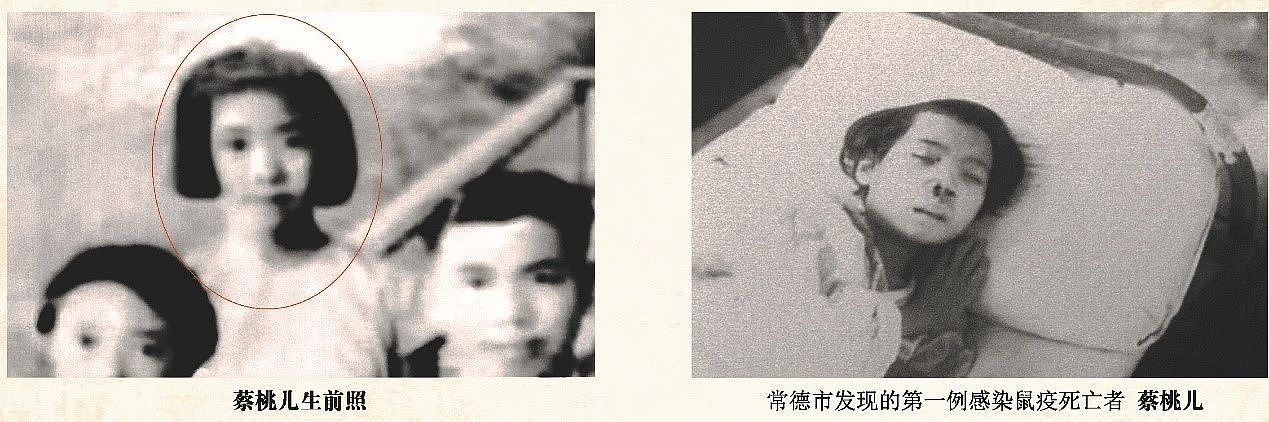 我看见的细菌战，和一场持续23年的记录（组图） - 8