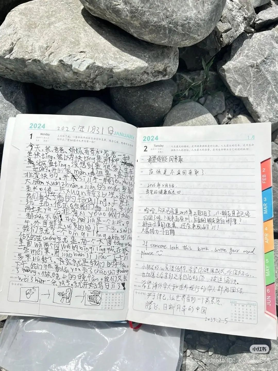 6岁中国女孩在新西兰一个疏忽，意外引发全网关注！女孩妈妈深圳回应（组图） - 3