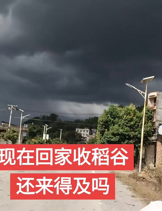 【爆笑】售价3w的雨衣就这？网友迷惑：买得起的有钱人会淋到雨吗 ​​​（组图） - 22
