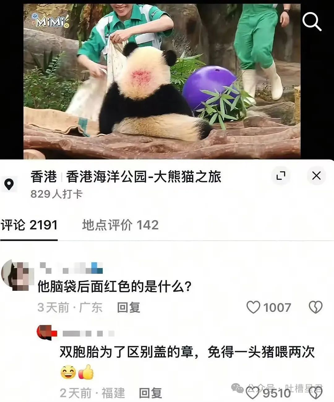 【爆笑】结婚四年老公还是忘不掉白月光…？网友：嫂子我不是挑事的人（组图） - 49