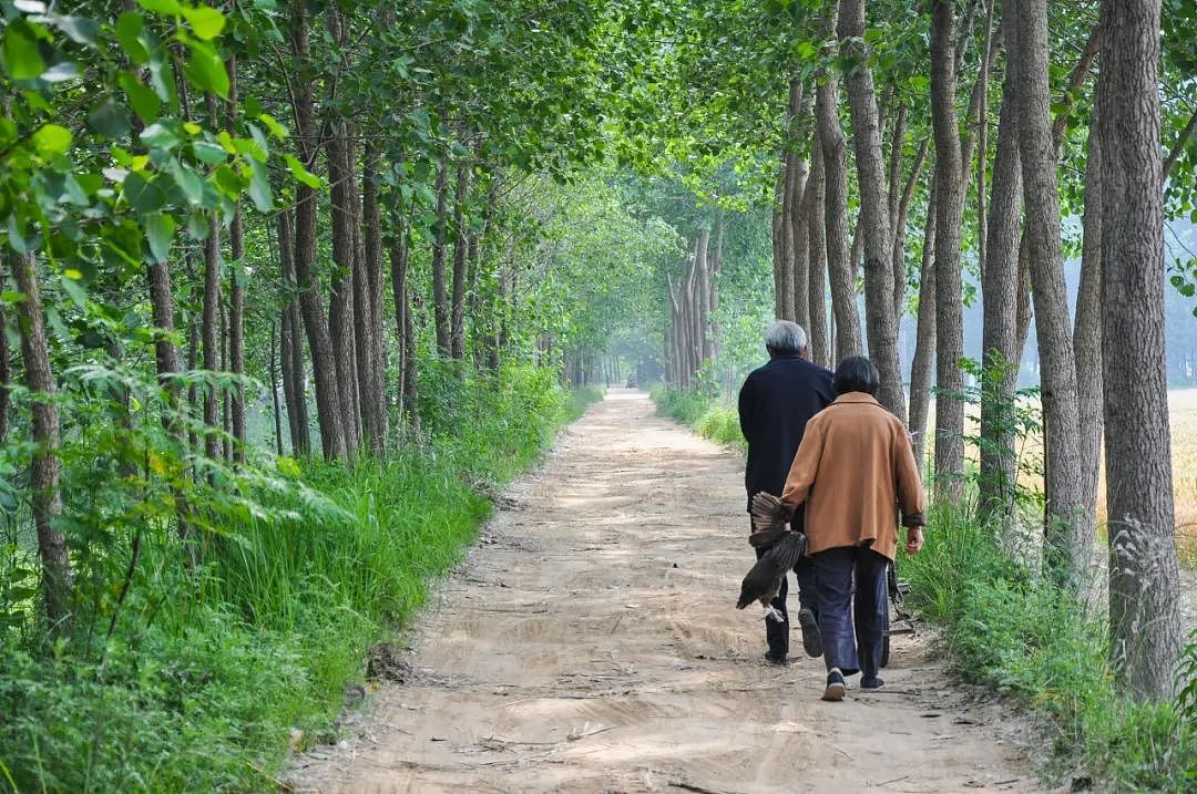 77岁老人死在家中一年半，被发现时已成白骨，两个儿子却早已移民（组图） - 7
